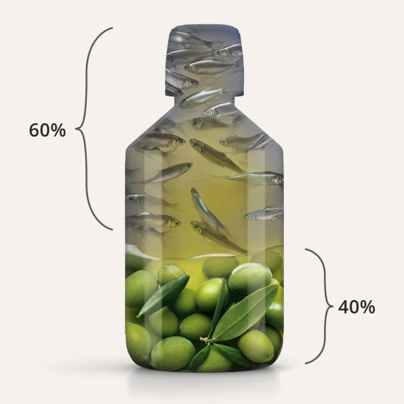 Balance Oil composition 60% poisson 40% olive